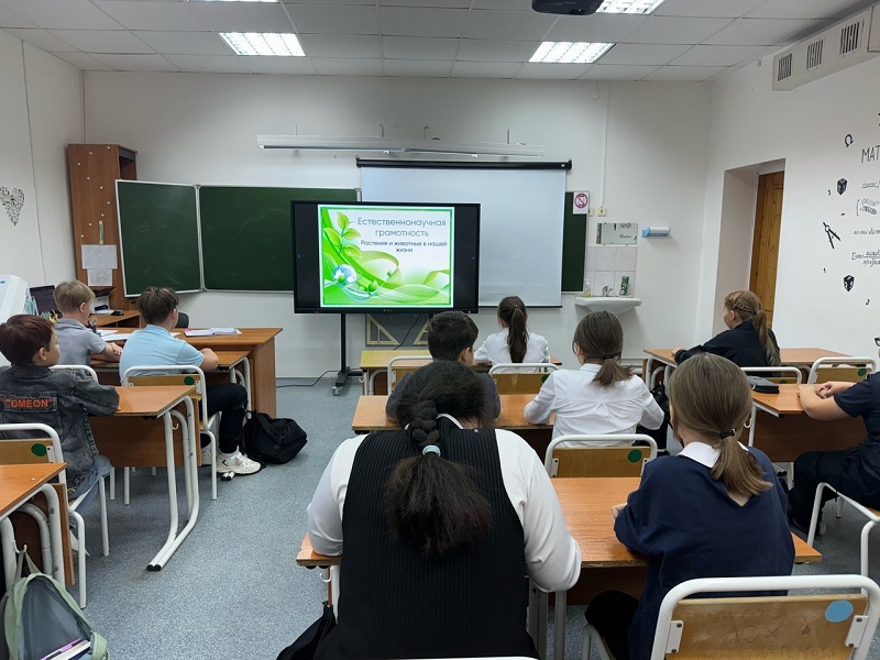 5 класс.
